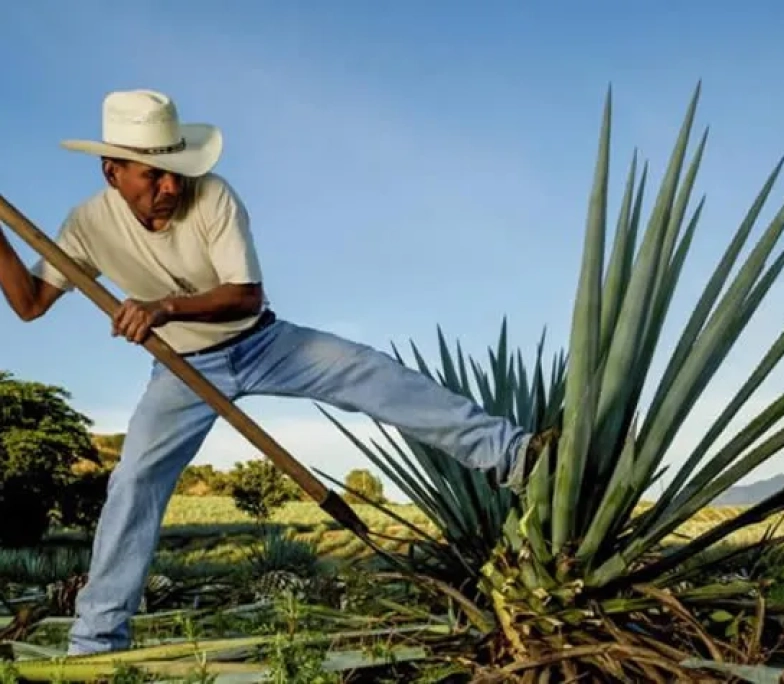 La-Ruta-del-Mezcal-en-Oaxaca